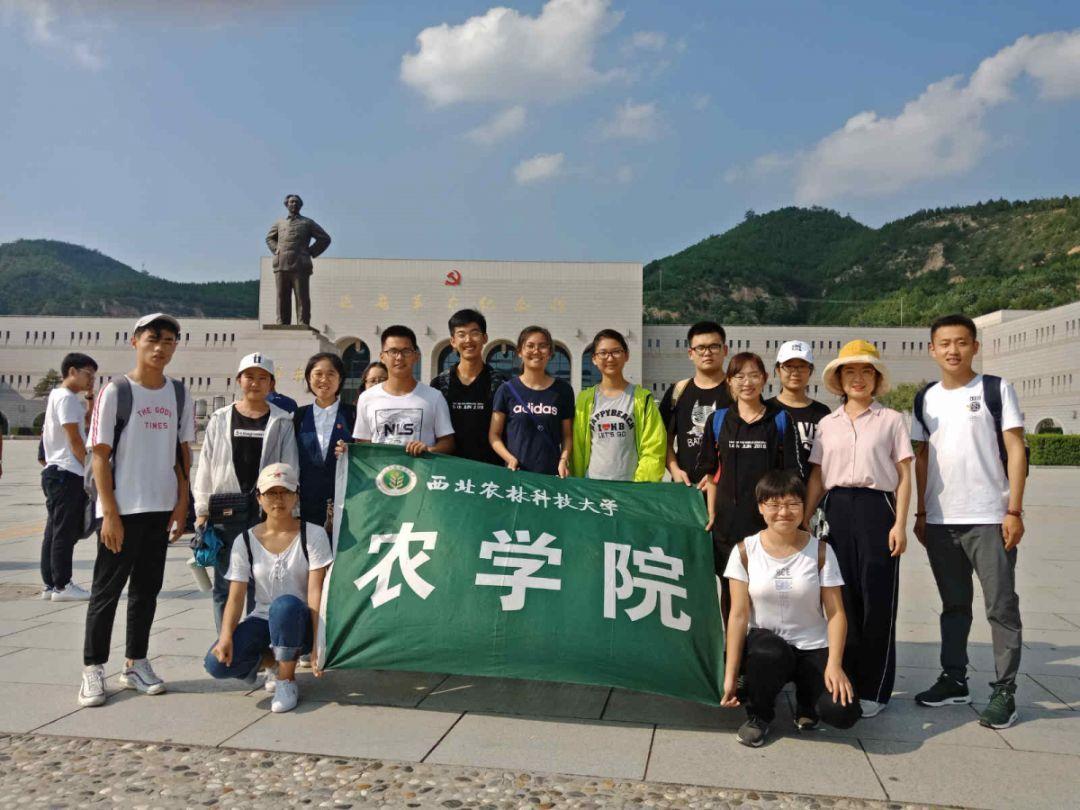 解惑交流,有人骗了我六千多,对方给我发了身份证照,我能直接报警吗?帮你答疑解惑!